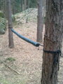 Hamaka Travel/Bivi Mk.7, DD Hammocks, Oliva zelená