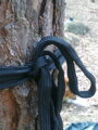 Hamaka Travel/Bivi Mk.7, DD Hammocks, Oliva zelená