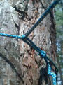 Hamaka Travel/Bivi Mk.7, DD Hammocks, Oliva zelená