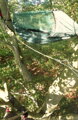 Hamaka Travel/Bivi Mk.7, DD Hammocks, Oliva zelená
