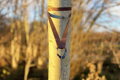 Karabiny DD Hammocks x2, černá