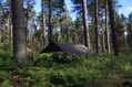 Bivakovací plachta DD Hammocks, XL- 4,5x3m, Kojot hnědý