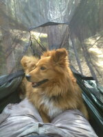 Pohodlnost spaní v hamakách DD hammocks Pohodlnost spaní v hamakách DD hammocks